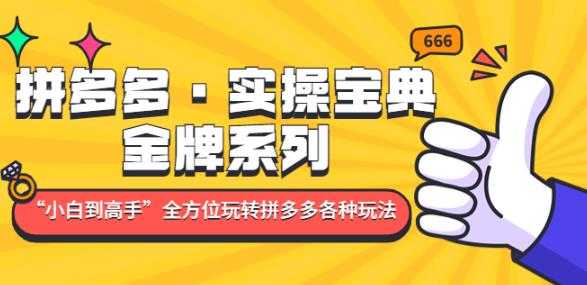 拼多多·实操宝典：金牌系列“小白到高手”带你全方位玩转拼多多各种玩法-轻创社