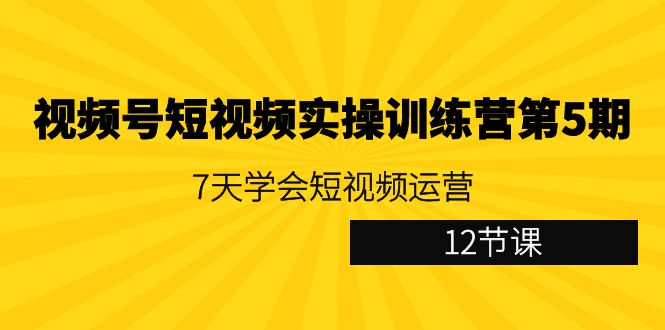 视频号短视频实操训练营第5期：7天学会短视频运营（12节课）-轻创社