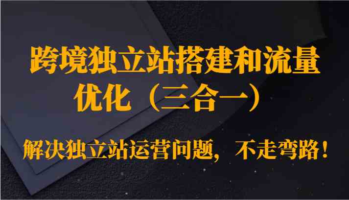 跨境独立站搭建和流量优化（三合一）解决独立站运营问题，不走弯路！-轻创社