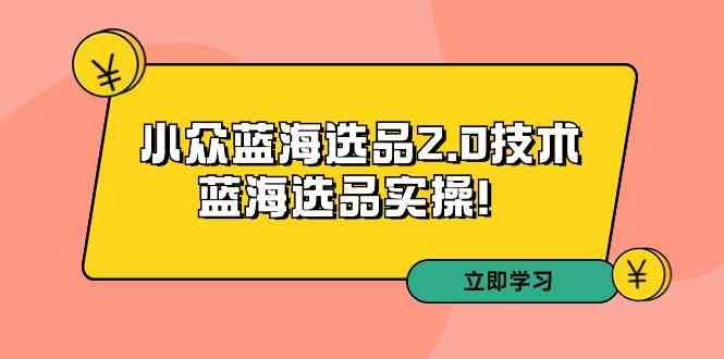 拼多多培训第33期：小众蓝海选品2.0技术-蓝海选品实操-轻创社