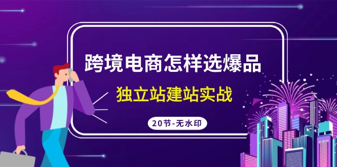 跨境电商怎样选爆品，独立站建站实战（20节高清课）-轻创社