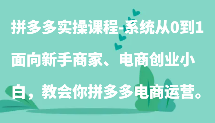 拼多多实操课程-系统从0到1，面向新手商家、电商创业小白，教会你拼多多电商运营。-轻创社