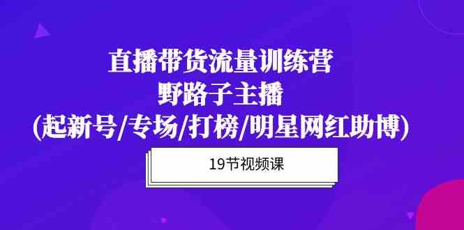 直播带货流量特训营，野路子主播(起新号/专场/打榜/明星网红助博)-轻创社