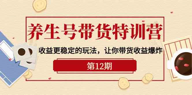 健康养生号卖货夏令营【12期】盈利更稳定的游戏玩法，使你卖货盈利发生爆炸（9节视频课堂）-轻创社