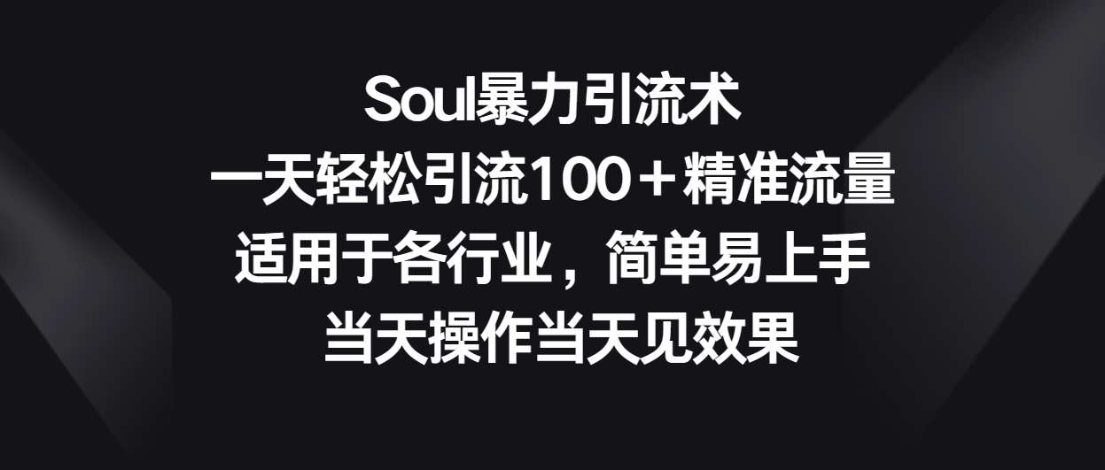 Soul暴力引流术，一天轻松引流100＋精准流量，适用于各行业，简单易上手！-轻创社