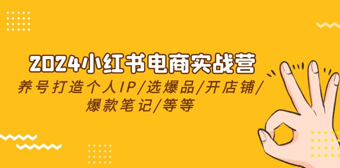 2024小红书电商实战营，起号打造出IP/选爆款/开店铺/爆品手记/等（24节）-轻创社