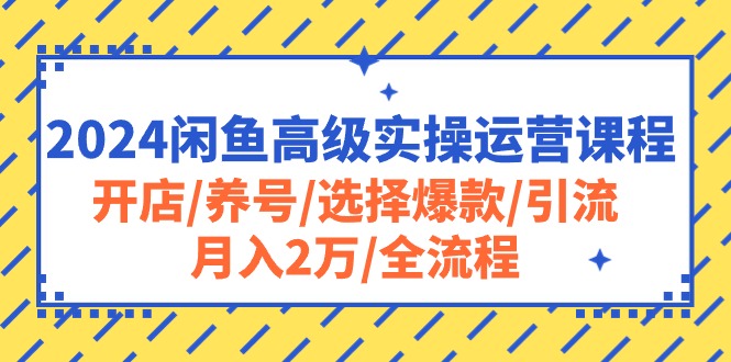 2024闲鱼高级实操运营课程：开店/养号/选择爆款/引流/月入2万/全流程-轻创社