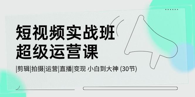 短视频实战班超级运营课 |剪辑|拍摄|运营|直播|变现 小白到大神 (30节)-轻创社