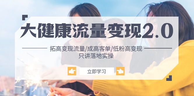 大健康产业 总流量 转现2.0：拓高转现 总流量/成高客单/低筋粉高转现/只谈落地式实战演练-轻创社
