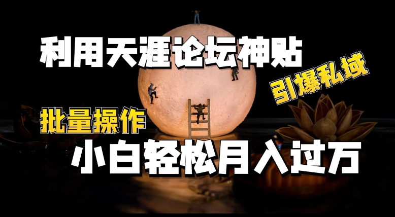 运用天涯社区神贴，点爆公域，批量处理，新手轻轻松松月入了w【揭密】-轻创社