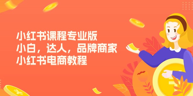 小红书的课程内容标准版，新手，大咖，品牌商，小红书电商实例教程（15节）-轻创社