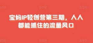 宝妈妈IP轻创营第三期，人人都可以抓住的总流量出风口-轻创社