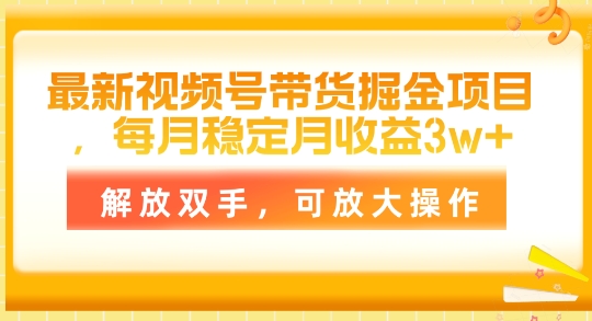 全新视频号带货掘金队新项目，每月平稳月盈利1w ，解锁新技能，可变大实际操作-轻创社