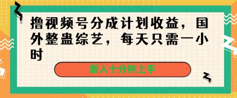 撸视频号分成计划收益，国外整蛊综艺，每天只需一小时，新人十分钟上手-轻创社