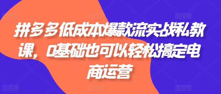 拼多多平台降低成本爆品流实战演练私教，0基本还可以轻松解决网店运营-轻创社