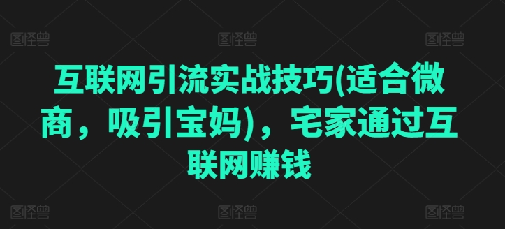 互联网引流实战经验(适宜微商代理，吸引住宝妈妈)，蹲在家里根据网络赚钱-轻创社