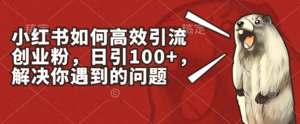 小红书的如何有效引流方法自主创业粉，日引100 ，解决你遇到的困难【揭密】-轻创社