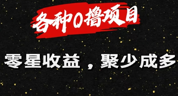 各种各样0撸新项目零星盈利，聚少成多-轻创社