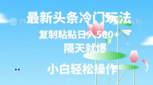 最新头条冷门玩法，隔天就爆，复制粘贴日入500+-轻创社
