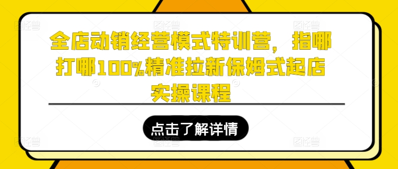 全店动销运营模式夏令营，指哪打哪100%精确引流跟踪服务出单实操课程-轻创社