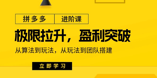拼多多平台升阶课：极限值拉涨/赢利提升：从优化算法到游戏玩法 从模式到团队搭建（18节）-轻创社