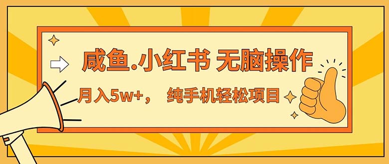2024最赚钱的项目，咸鱼，小红书无脑操作，每单利润500+，轻松月入5万+…-轻创社