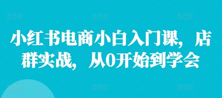 小红书电商小白入门课，店群实战，从0开始到学会-轻创社