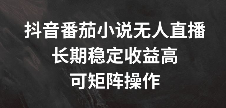 抖音番茄小说无人直播，长期稳定收益高，可矩阵操作【揭秘】-轻创社