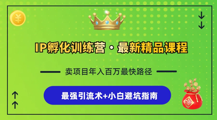 IP卵化夏令营，社交电商全过程 最牛引流术 新手避坑指南-轻创社