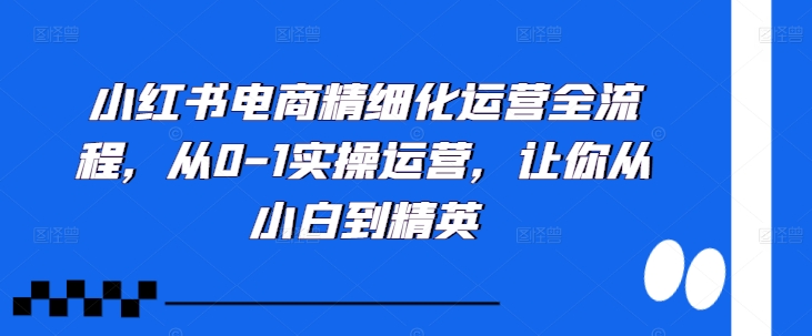 小红书电商精细化营销全过程，从0-1实际操作经营，使你从小白到精锐-轻创社