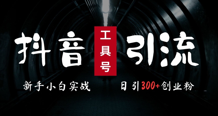 2024最新抖音工具号引流玩法，高效日引300+创业粉，当天变现5k，小白也可成为实战高手-轻创社