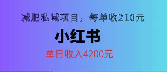小红书减肥私域项目，每单210元，单日可卖出15单，利润3150-轻创社