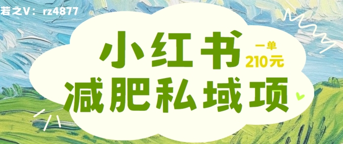 小红书减肥粉，私域变现项目，一单就达210元，小白也能轻松上手【揭秘】-轻创社