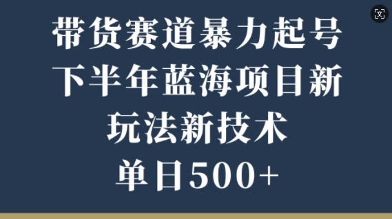 卖货跑道暴力行为养号，后半年蓝海项目，新模式新技术应用，单日500-轻创社