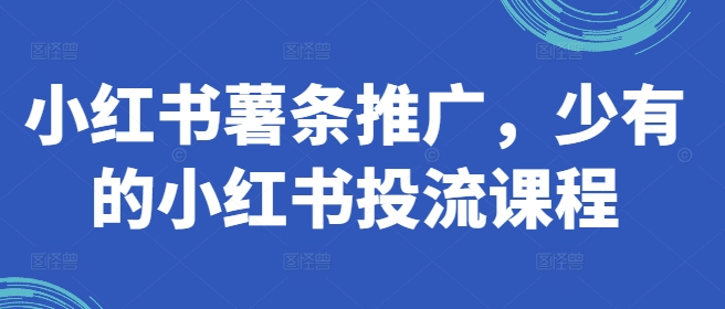 小红书的炸薯条营销推广，难得少有的小红书投流课程内容-轻创社