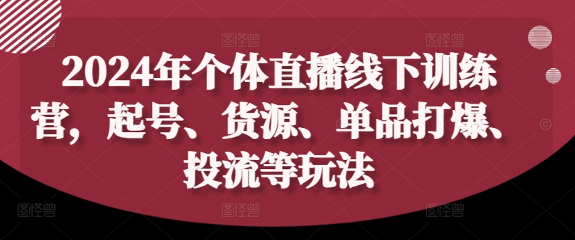 2024年个人直播间夏令营，养号、一手货源、品类打穿、投流等玩法-轻创社
