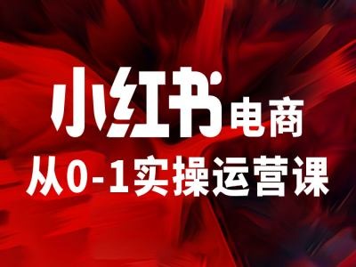小红书电商从0-1实际操作运营课，使你从小白到精锐-轻创社