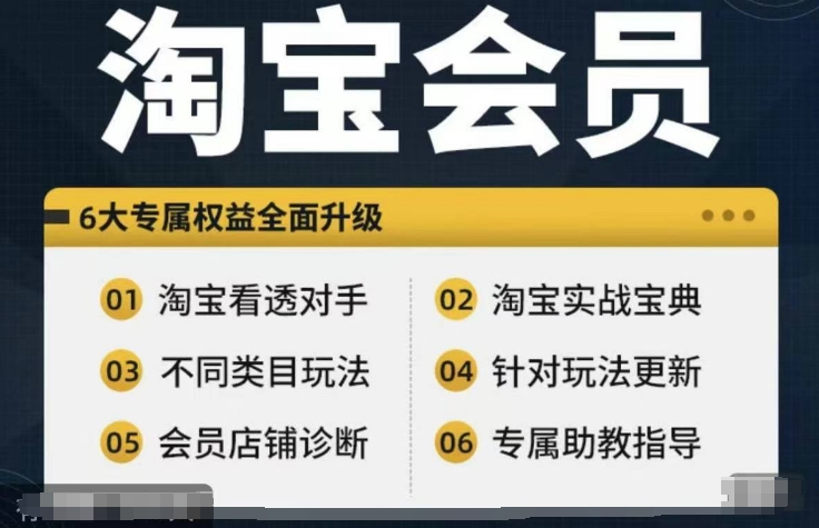 淘宝会员【淘宝网全部课程，深入分析敌人】，初中级到大神全系列实战演练秘笈-轻创社
