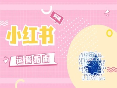 小红书运营手册，无套路，都是工作经验-轻创社
