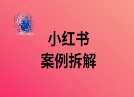 小红书的实例拆卸，深度解析小红书的40万粉-轻创社