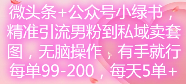 头条 微信公众号小绿书，精准引流方法粉丝到公域卖套图，没脑子实际操作，有手就行，每一单99-200，每日5单-轻创社