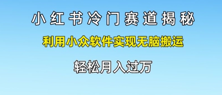 小红书的小众跑道揭密，运用小众软件完成没脑子运送，轻轻松松月入了万-轻创社