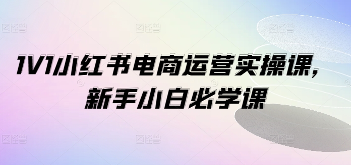 1V1小红书的电商运营实操课，新手入门必会课-轻创社