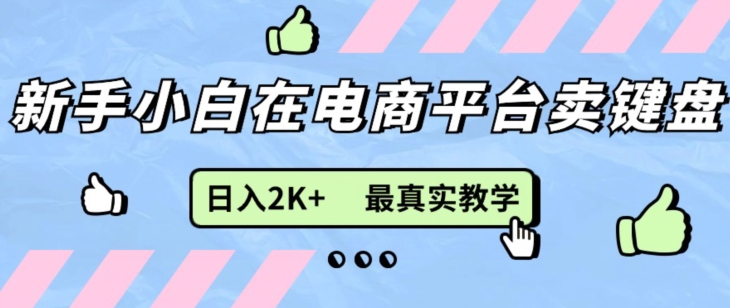 全新无货源电商0成本费电子商务，新手入门能做，后面帮扶打满，细腻课堂教学-轻创社