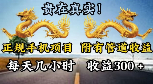 靠谱手机项目，附带丰富多样的管道收益，每日几个小时，盈利300-轻创社