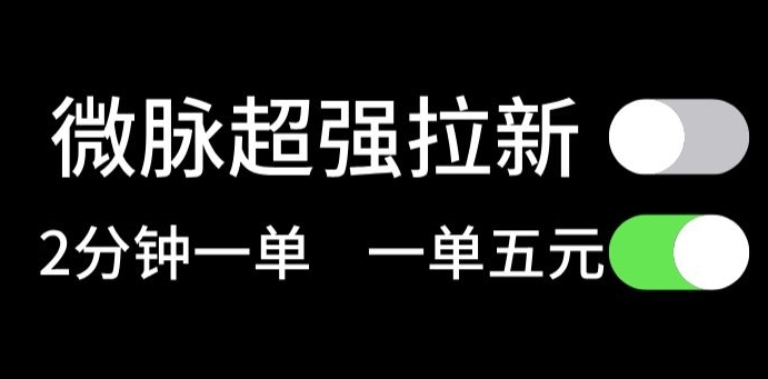 微脉没脑子引流，每一单5元钱，轻轻松松日入三位数-轻创社