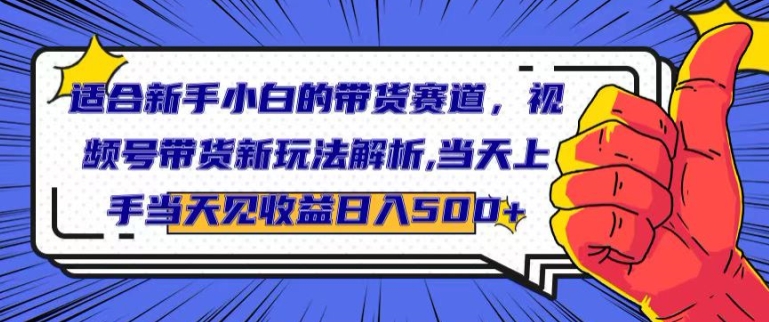 适合新手小白的带货赛道，视频号带货新玩法解析，当天上手当天见收益，日入500+-轻创社
