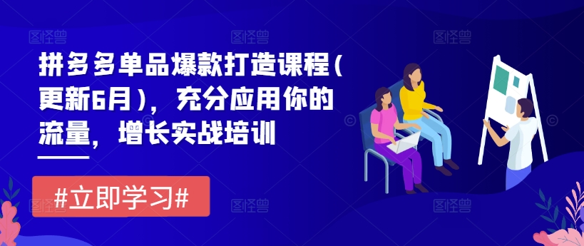 拼多多平台品类爆款打造课程内容(升级6月)，充分应用你的流量，提高实战培训-轻创社