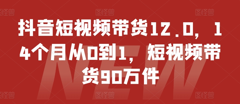 抖音小视频卖货12.0，14个月从0到1，短视频卖货90千件-轻创社