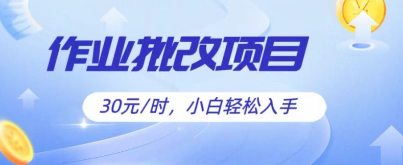 批作业新项目，30元后，简易易上手，适宜宝妈妈，在校大学生-轻创社